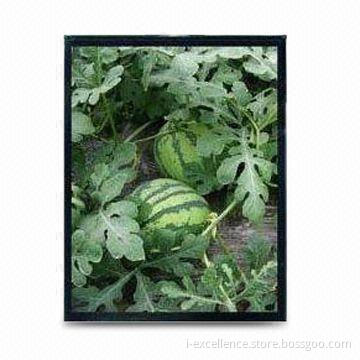 2.4-inch TFT LCD Module with 240 x 320 Pixels Resolutions and Good Viewing Angle